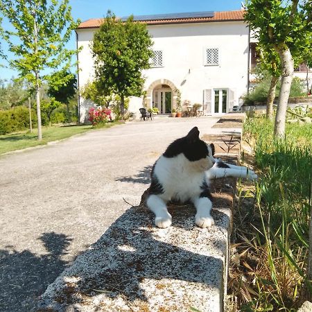 Le Piracante Caiazzo Dış mekan fotoğraf