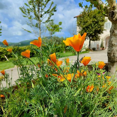Le Piracante Caiazzo Dış mekan fotoğraf