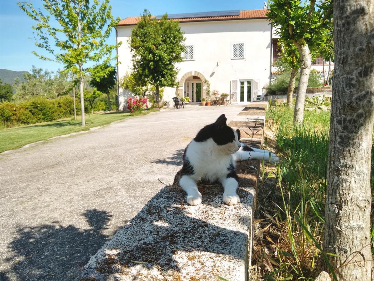 Le Piracante Caiazzo Dış mekan fotoğraf