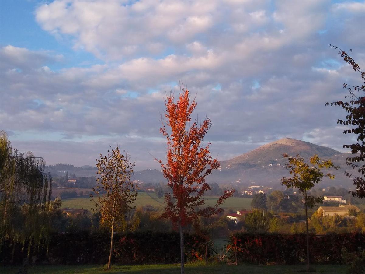 Le Piracante Caiazzo Dış mekan fotoğraf