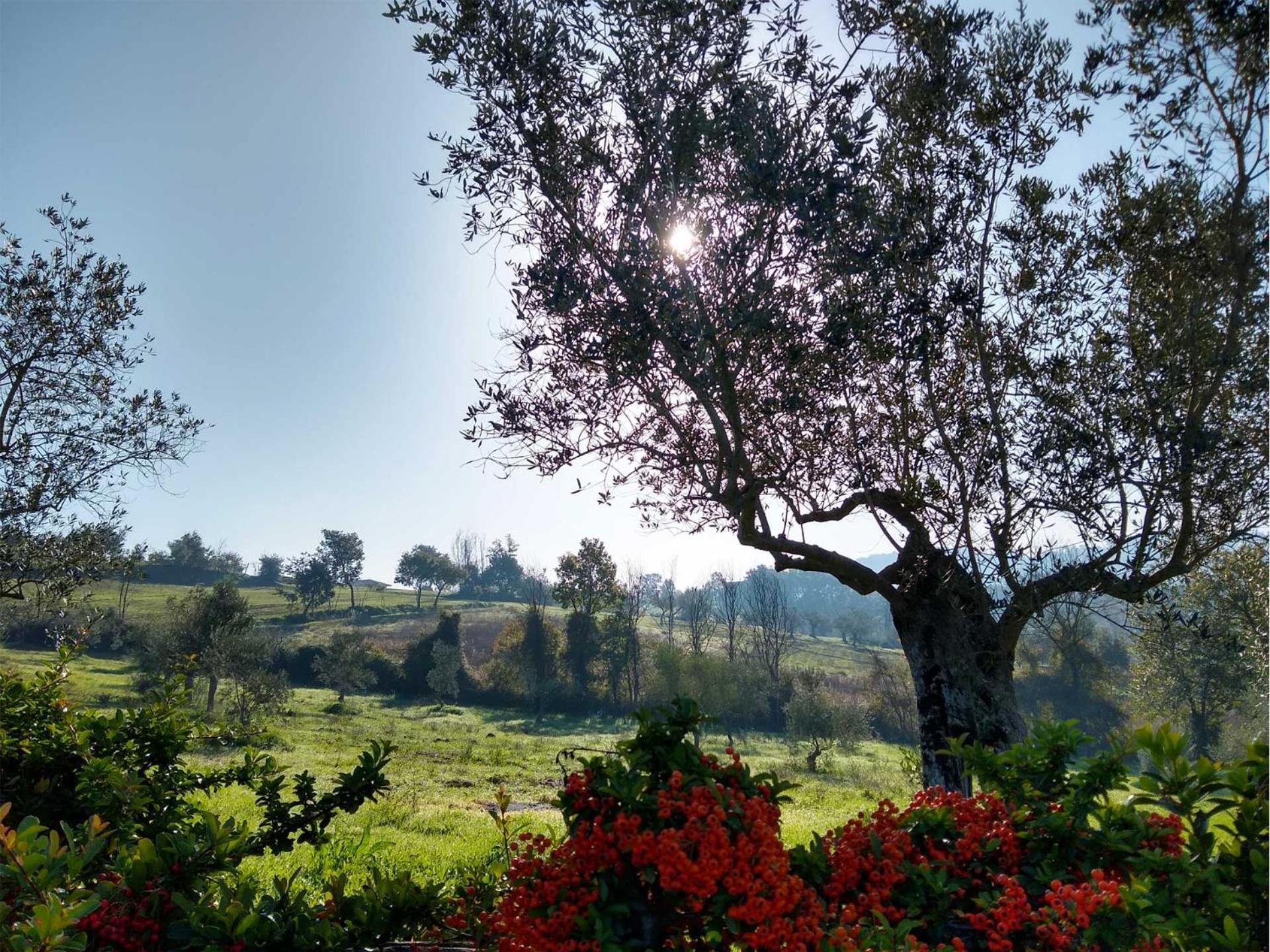 Le Piracante Caiazzo Dış mekan fotoğraf